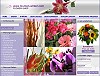 Blumen Mnchen Blumenlieferservice
